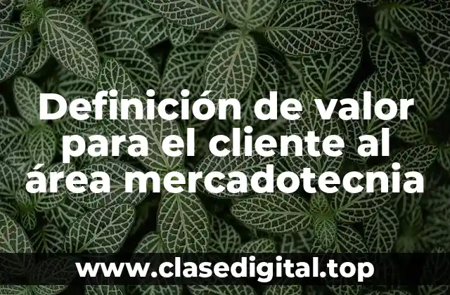 Definición de valor para el cliente al área mercadotecnia