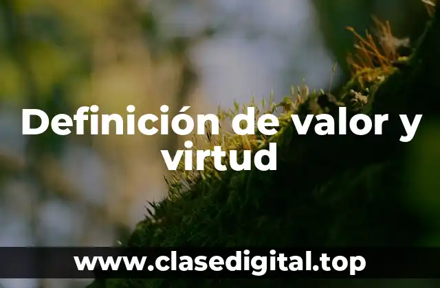 Definición técnica de valor y virtud