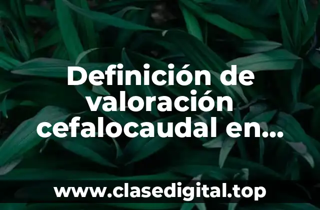 Ejemplos de valoración cefalocaudal en enfermería