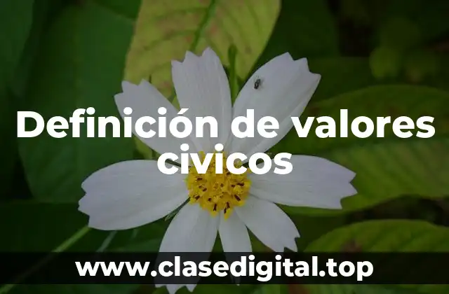 Definición de valores civicos