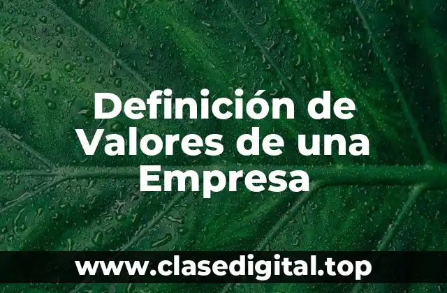 Definición técnica de valores de una empresa