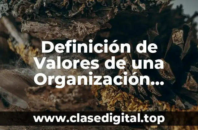 Definición de Valores de una Organización Deportiva