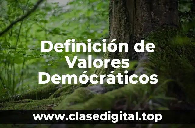 Definición Técnica de Valores Demócráticos