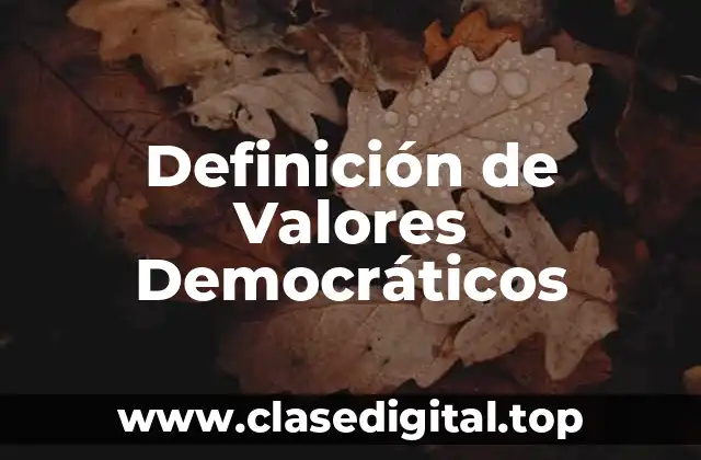 Definición de Valores Democráticos