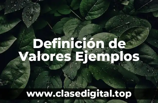 Definición de Valores Ejemplos