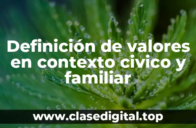 Definición técnica de valores en contexto civico y familiar