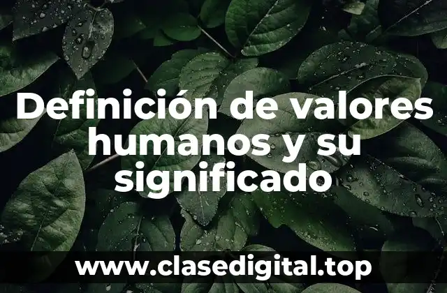 Definición de valores humanos y su significado