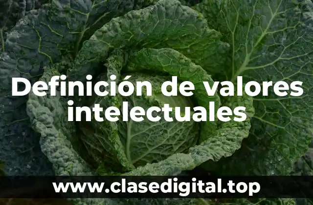 Definición de valores intelectuales