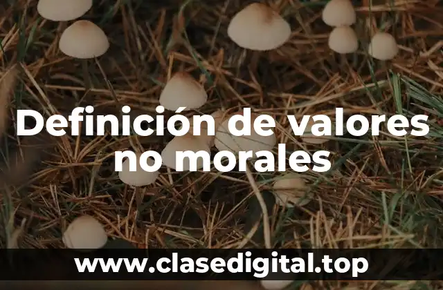 Definición de valores no morales