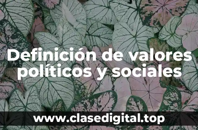 Ejemplos de valores políticos y sociales