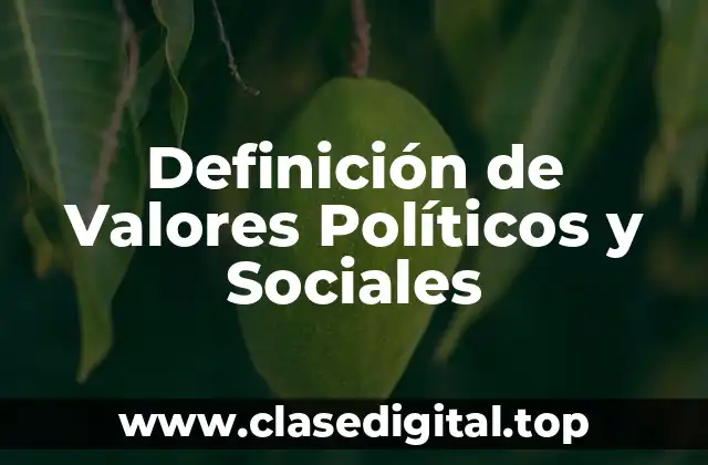 Definición de Valores Políticos y Sociales