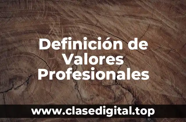Definición técnica de Valores Profesionales