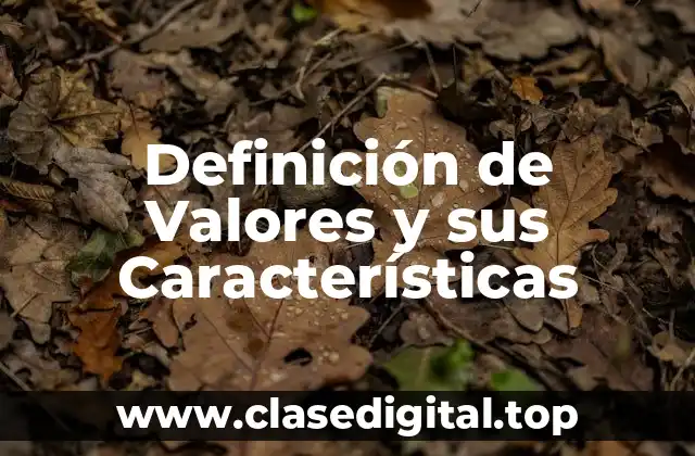 Definición de Valores y sus Características