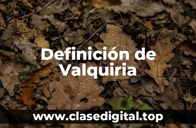 Definición de Valquiria