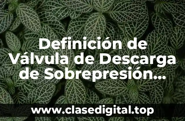Definición Técnica de Válvula de Descarga de Sobrepresión Ventilador del Refrigerante