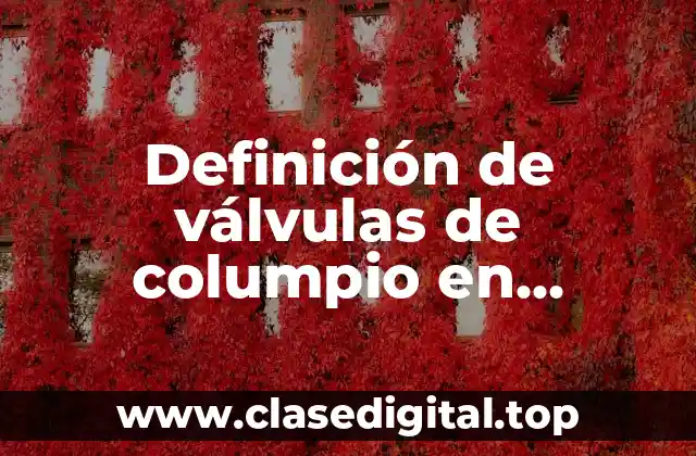 Definición de válvulas de columpio en descargas de bombas