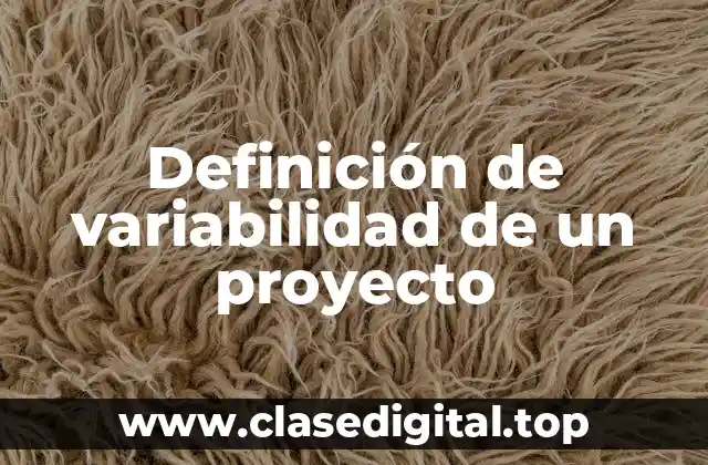 Definición de variabilidad de un proyecto