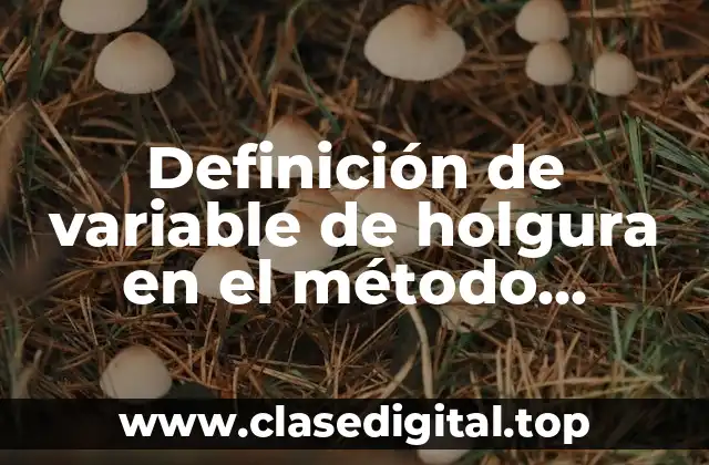 Definición de variable de holgura en el método simplex