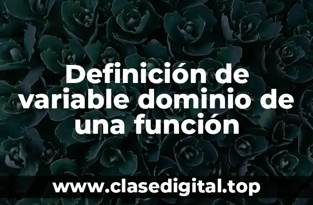 Definición de variable dominio de una función