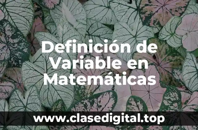 Definición de Variable en Matemáticas
