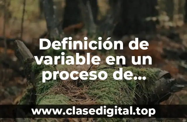 Definición de variable en un proceso de investigación