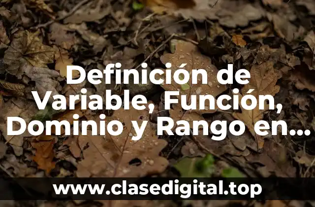 Definición de Variable, Función, Dominio y Rango en Libros