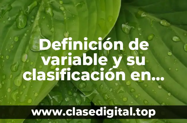 Definición técnica de variable