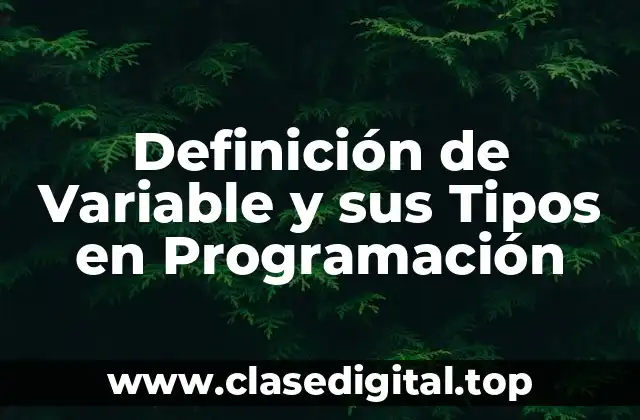 Definición de Variable y sus Tipos en Programación