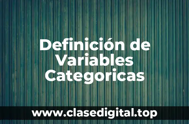 Definición de Variables Categoricas