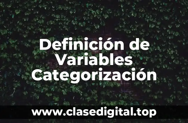 Definición de Variables Categorización