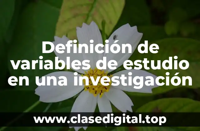 Definición de variables de estudio en una investigación