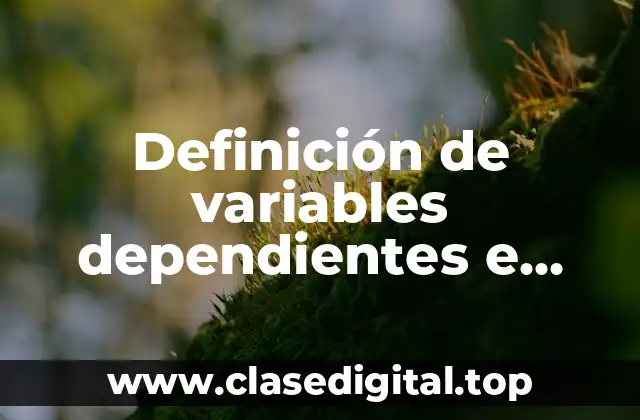 Definición de variables dependientes e independientes en marketing