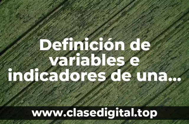 Definición técnica de variables e indicadores