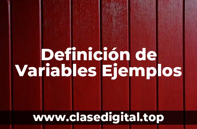 Definición técnica de Variable