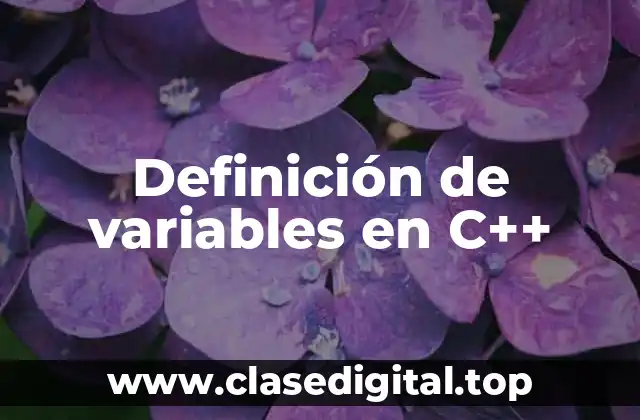 Definición técnica de variable en C++