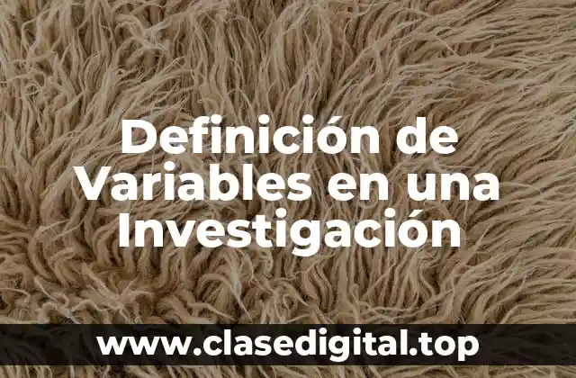 Definición Técnica de Variable