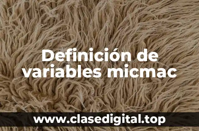 Definición de variables micmac