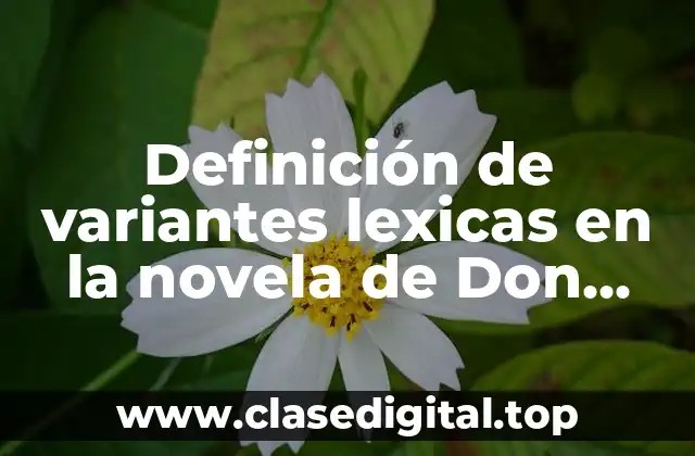 Definición de variantes lexicas en la novela de Don Quijote