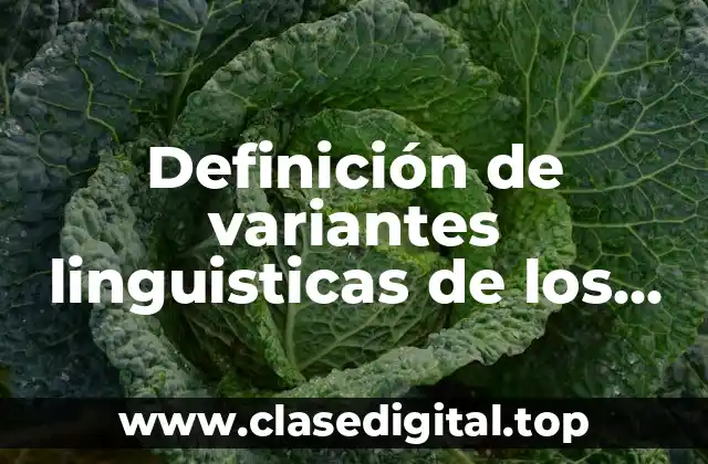 Definición de variantes linguisticas de los pueblos hispanohablantes