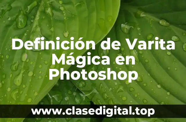 Definición de Varita Mágica en Photoshop