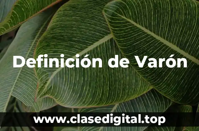 Definición de Varón