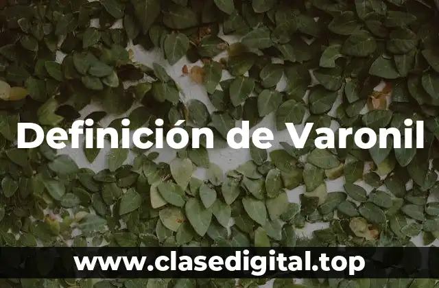 Definición de Varonil