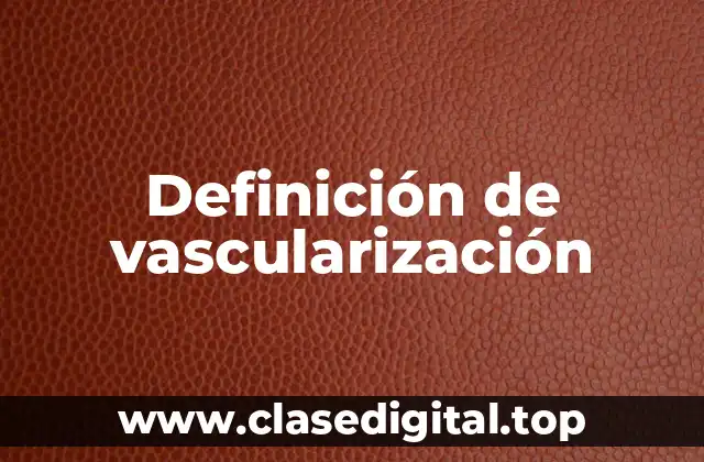 Definición de vascularización