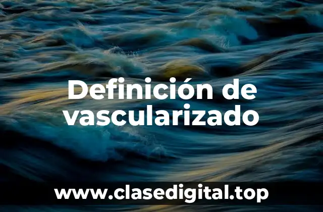 Definición técnica de vascularizado