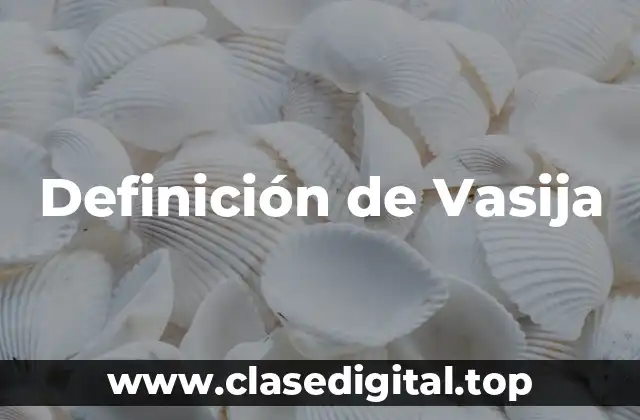 Definición de Vasija