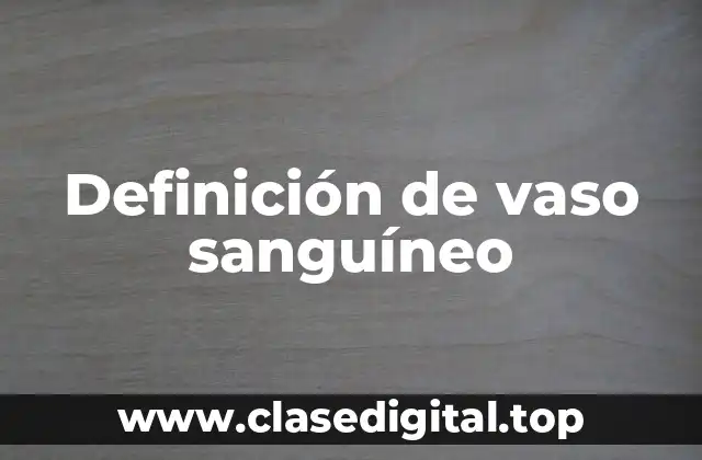 Definición técnica de vaso sanguíneo