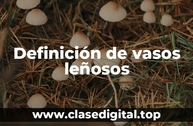 Definición de vasos leñosos