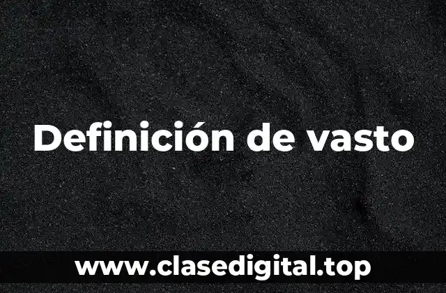 Definición de vasto