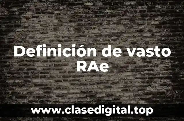 Definición de vasto RAe