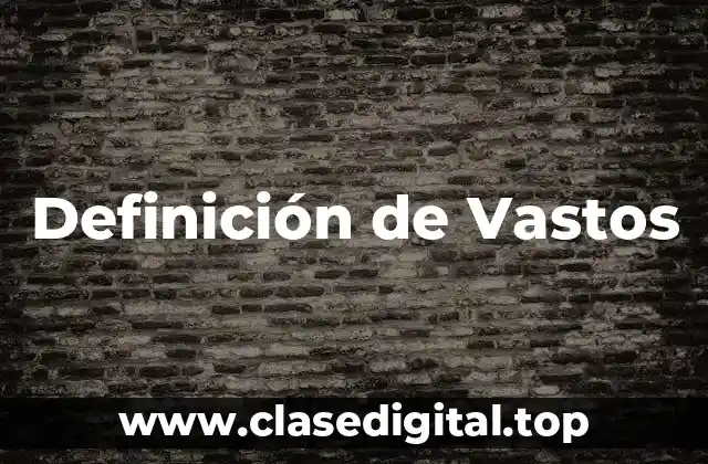 Definición de Vastos